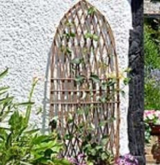 Framed Willow Trellis Gothic 1.8 X 0.60M