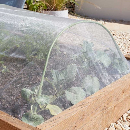 Pond & Fruit Netting Black 12Mm 2X10M