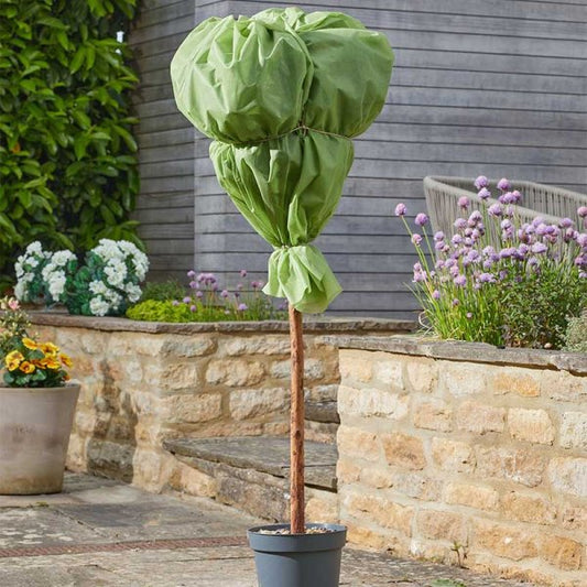 G30 Plant Warming Fleece 1.5 X 10M