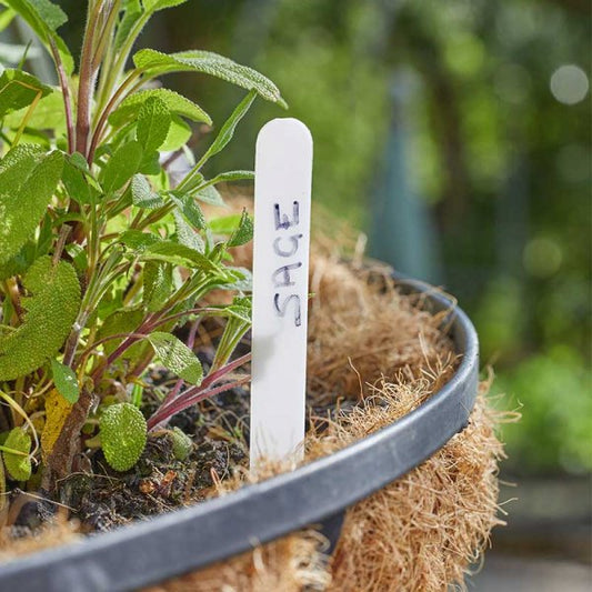 Plant Labels 15Cm 50 Pk