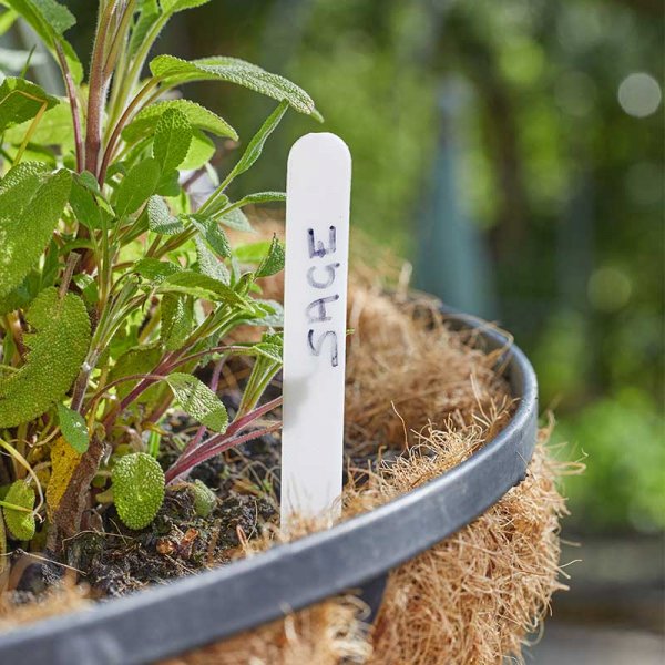 Plant Labels 15Cm 100 Pk