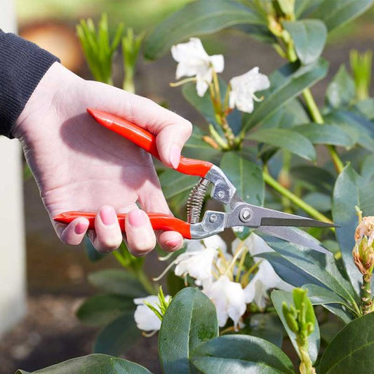 Gardensnips