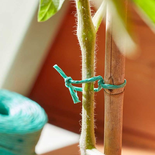 Rot Proof Polytwine Green 100G