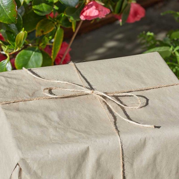 Sisal Tufftwine 100G