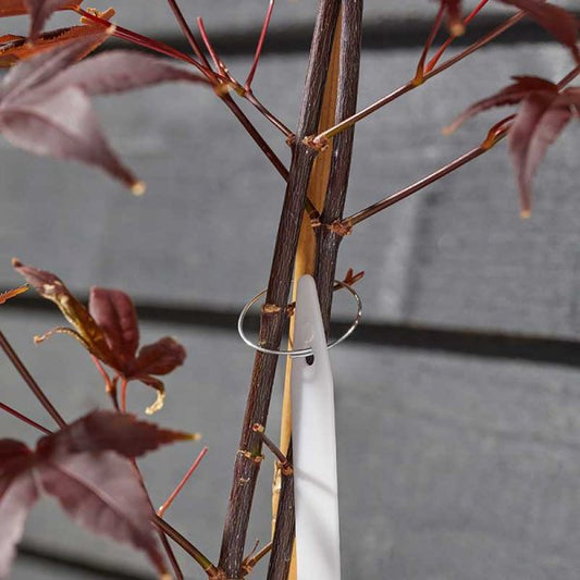 Plant Rings Galvanised 100 Pk
