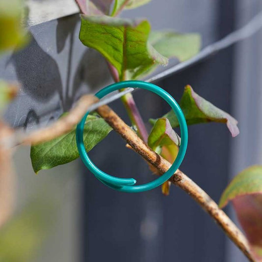 Plant Rings Coated 50 Pk