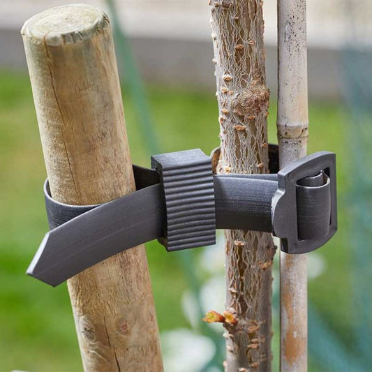 Buckle Tree Ties 2 Pk