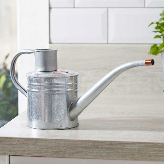 Home & Balcony Water Can Galvanised 1L