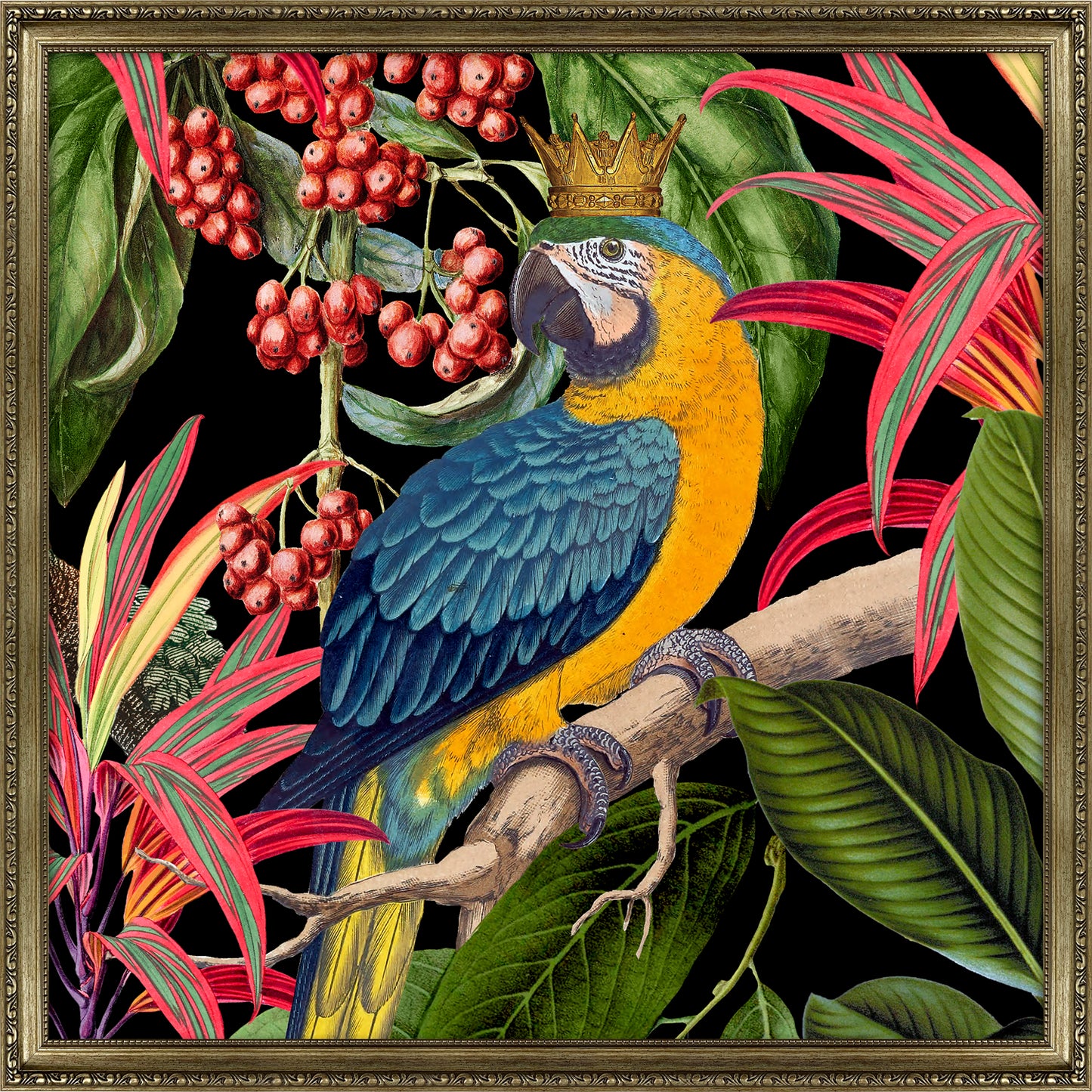 Parrot King I