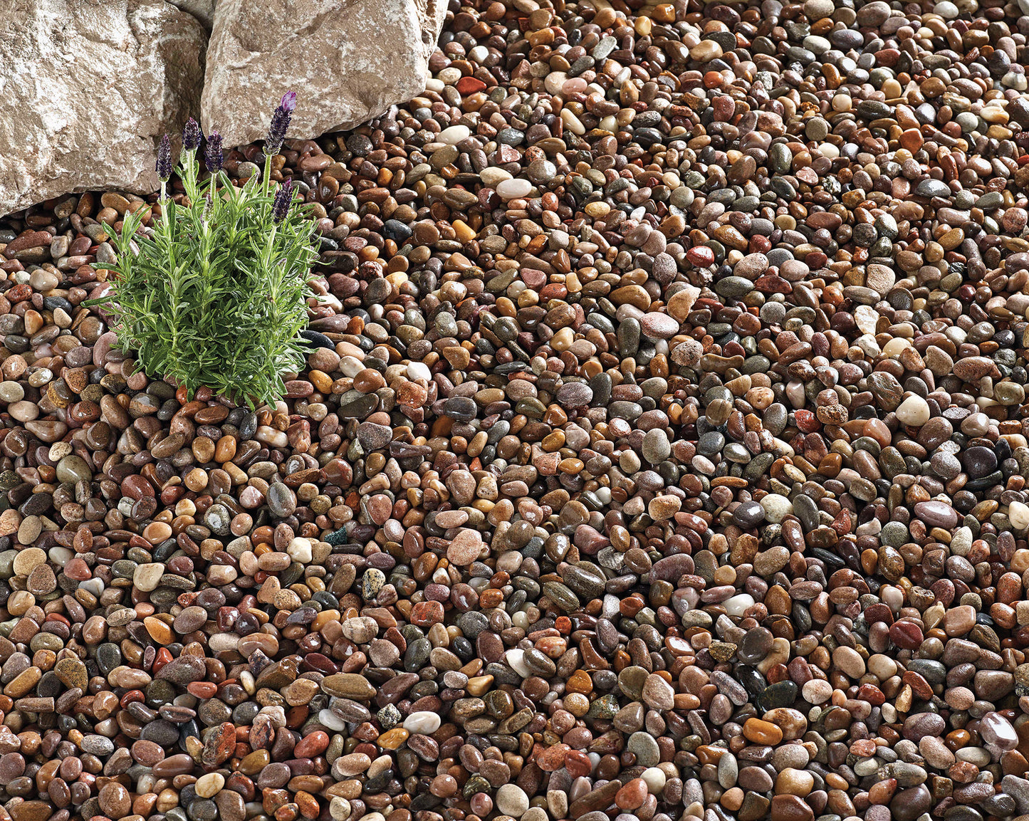 Caledonian Pebbles 14-20Mm Large Pack