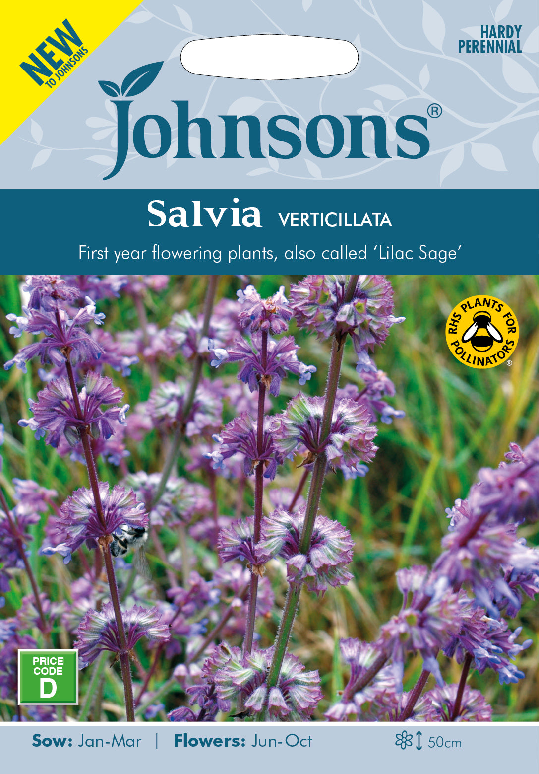 SALVIA verticillata