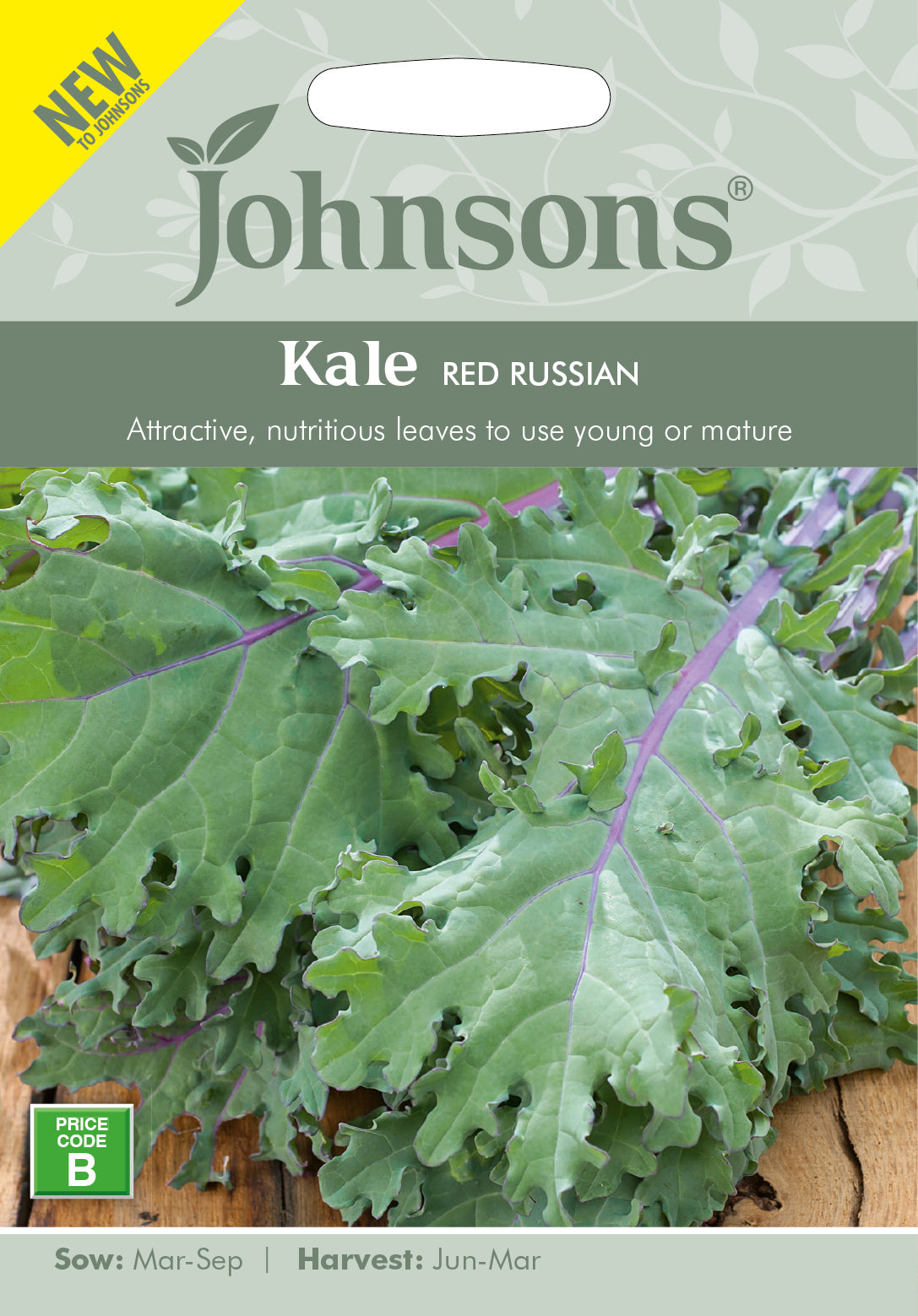 KALE Red Russian