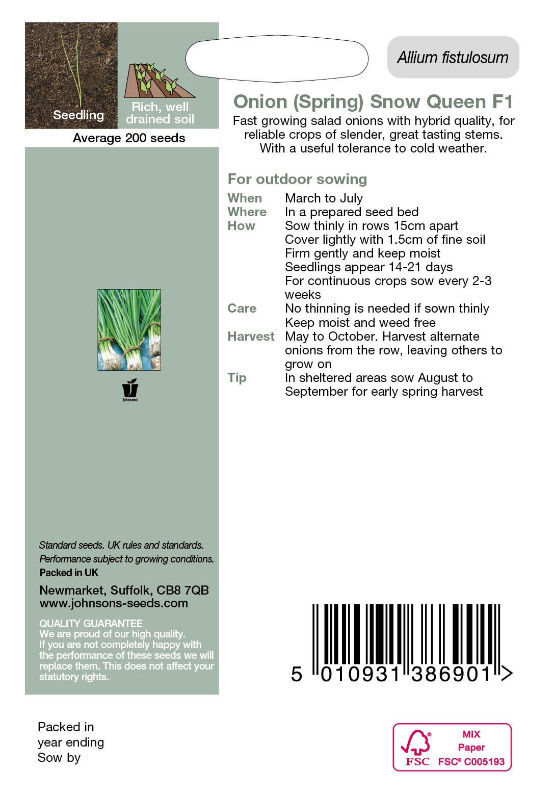 ONION (Spring) Snow Queen F1