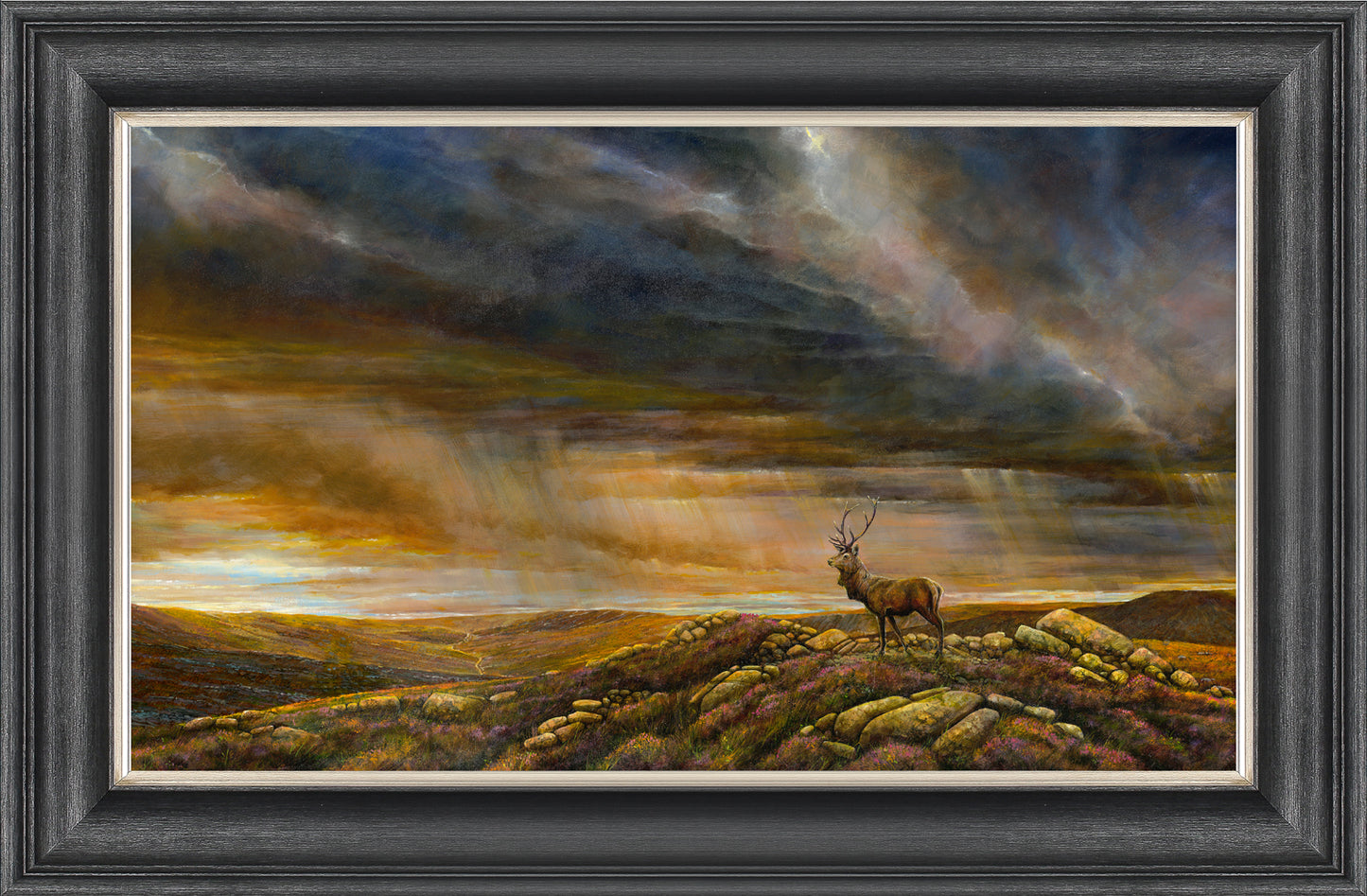 Highland Stag