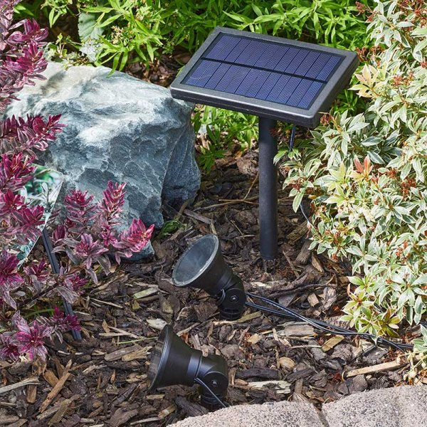 Multispot 5L 10Pk