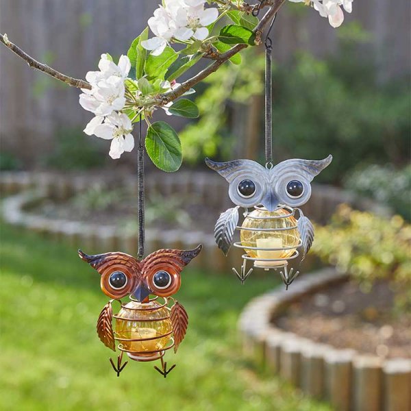 Owl Light