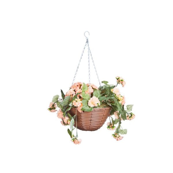 Begonia Blooms 30Cm