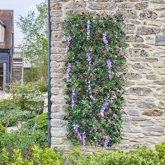 Wisteria Trellis 180X90Cm