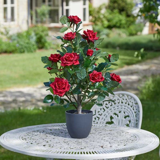 Regent'S Roses Ruby Red 60Cm