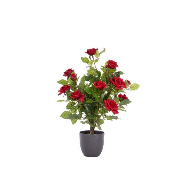 Regent'S Roses Ruby Red 60Cm