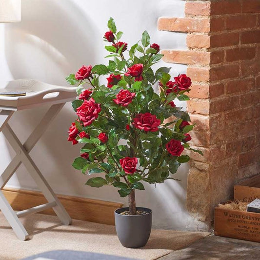 Regent'S Roses Ruby Red 80Cm