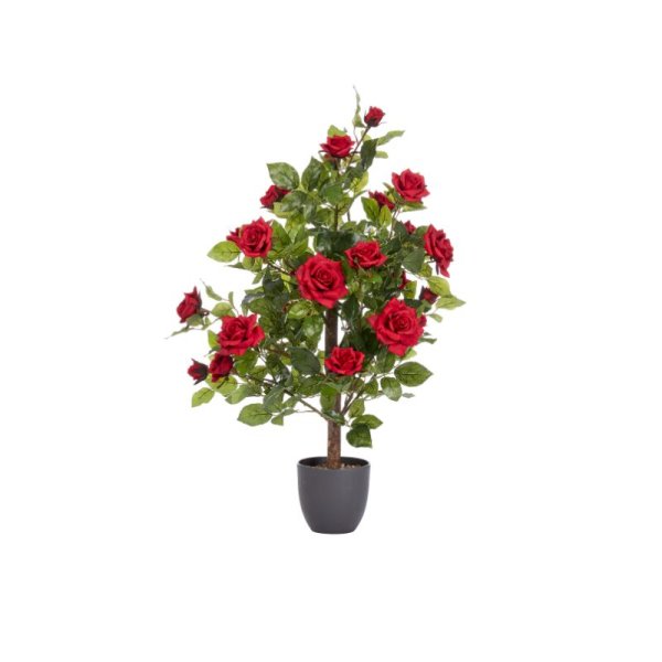 Regent'S Roses Ruby Red 80Cm