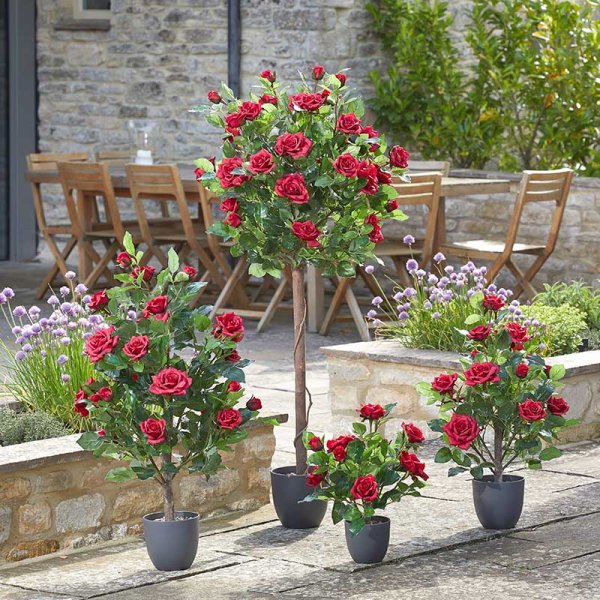 Regent'S Roses Ruby Red 120Cm