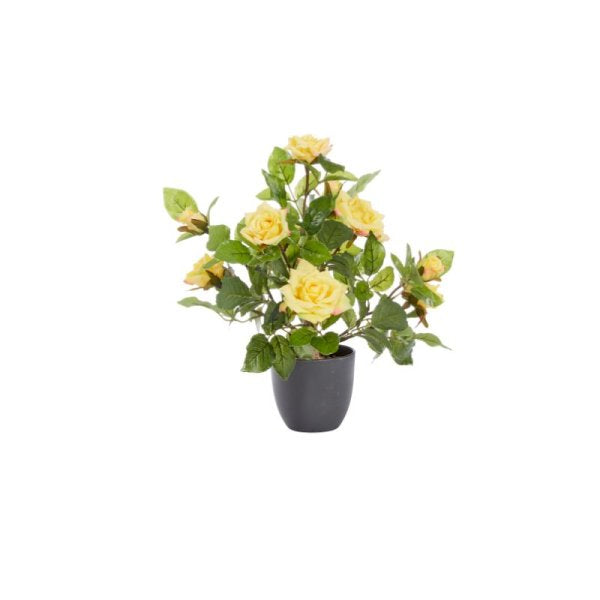 Regent'S Roses Sunshine Yellow 40Cm
