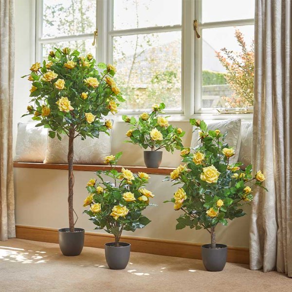 Regent'S Roses Sunshine Yellow 120Cm