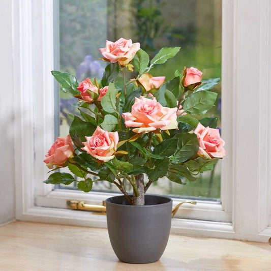 Regent'S Roses Perfect Pink 40Cm