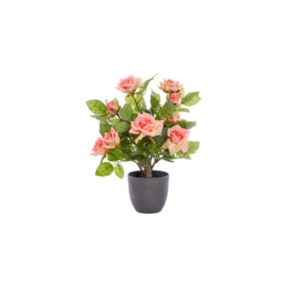 Regent'S Roses Perfect Pink 40Cm