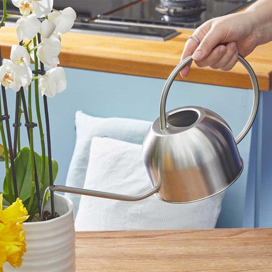 Stainless Steel Watering Can 1Lt