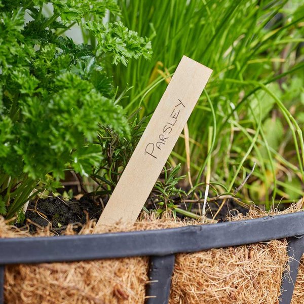Wooden Plant Labels 15Cm 40Pk