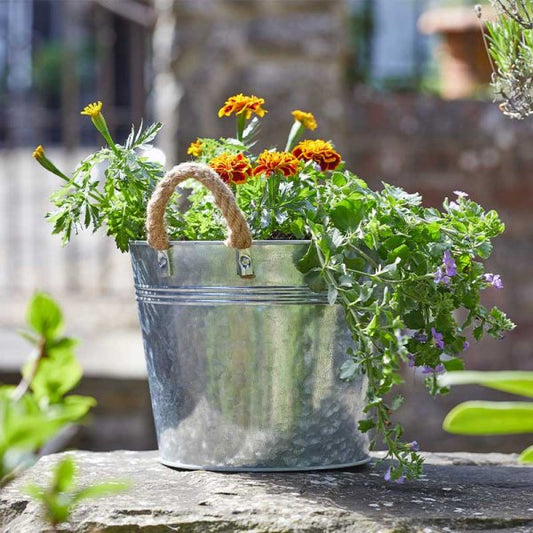 9inch Rustic Rope Handled Planter