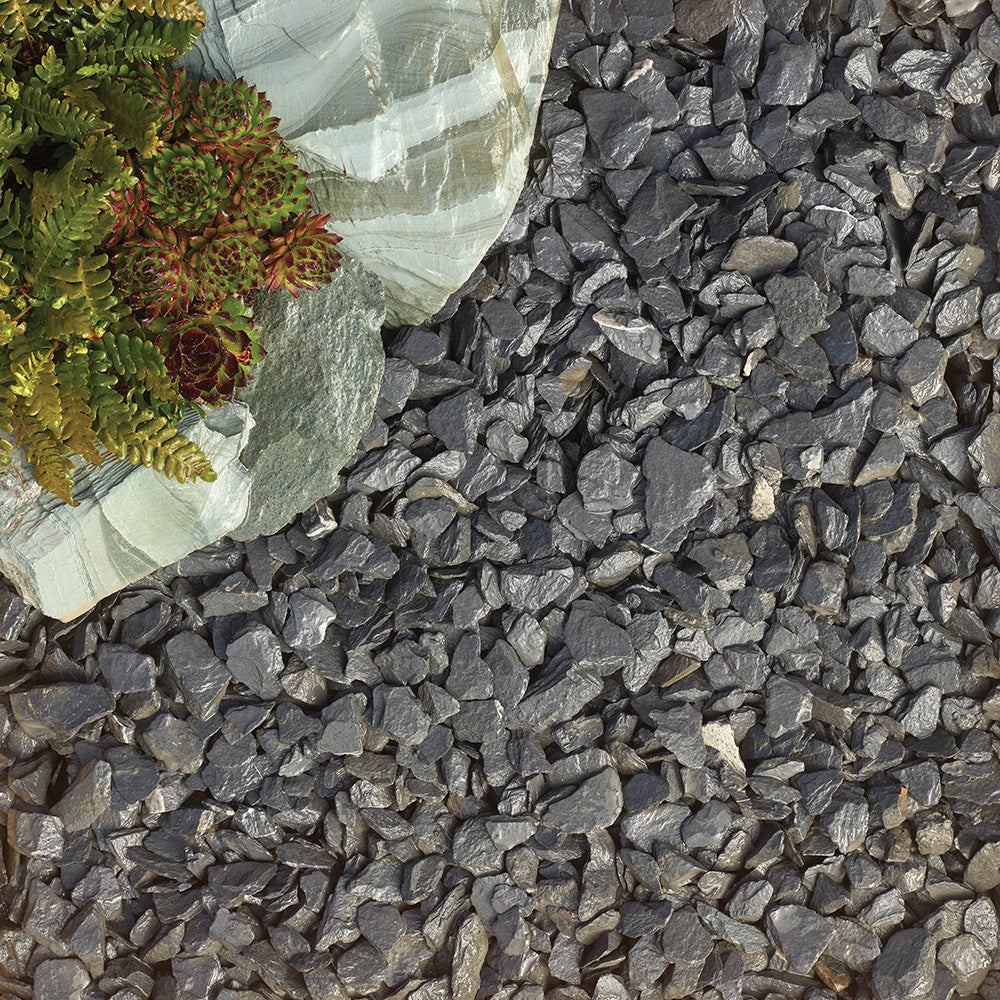 Black Slate 40Mm Large Pack