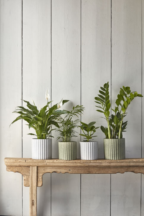 Azalea Stone Ribbed Grey Planter 15.5cm