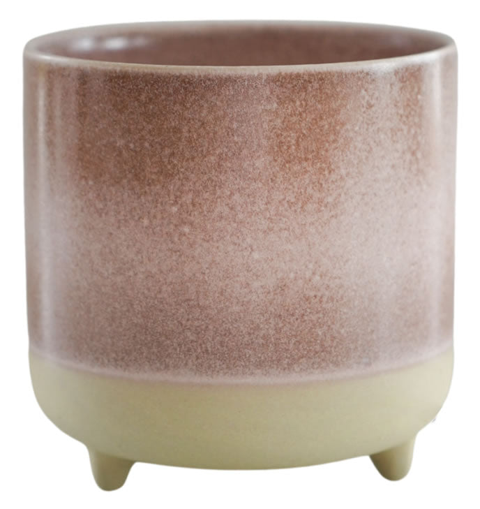 Jolie Rose Reactive 3 Leg Cacti Planter