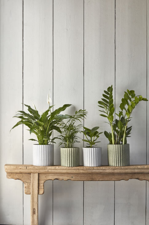 Azalea Stone Ribbed Grey Planter 20.5cm