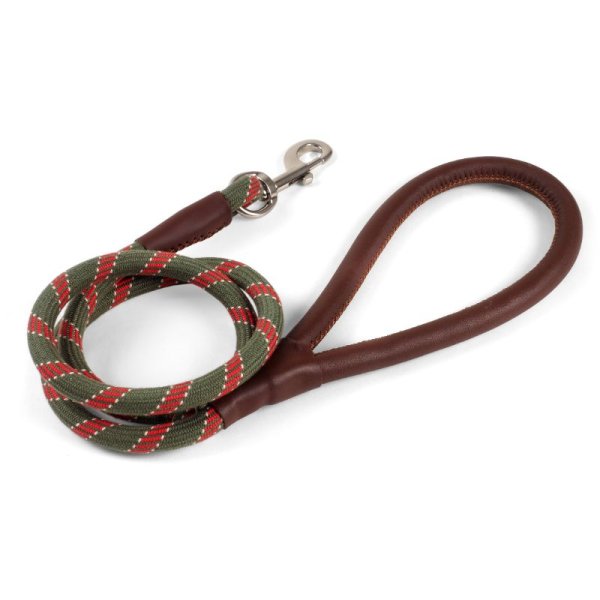 Primo Dog Lead Olive 120X1.2Cm