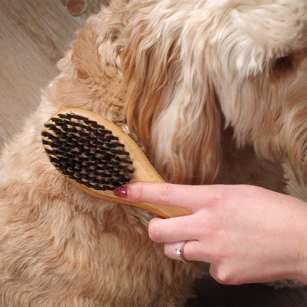 Double Sided Brush