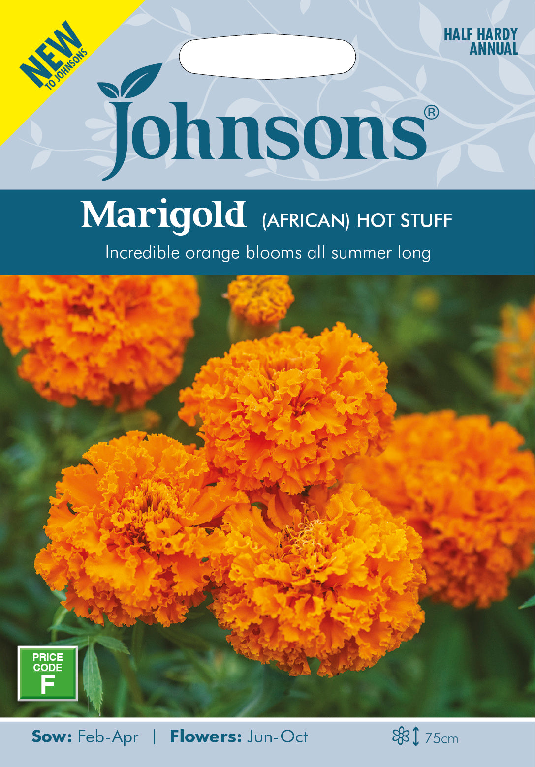 MARIGOLD (African) Hot Stuff
