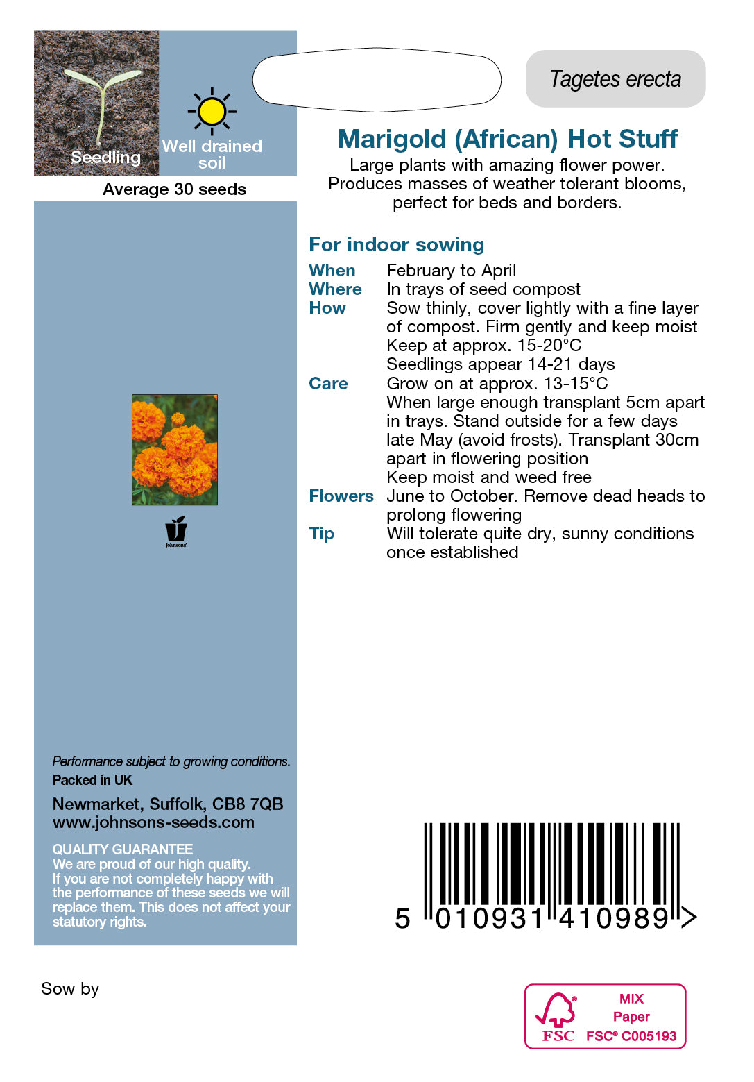 MARIGOLD (African) Hot Stuff