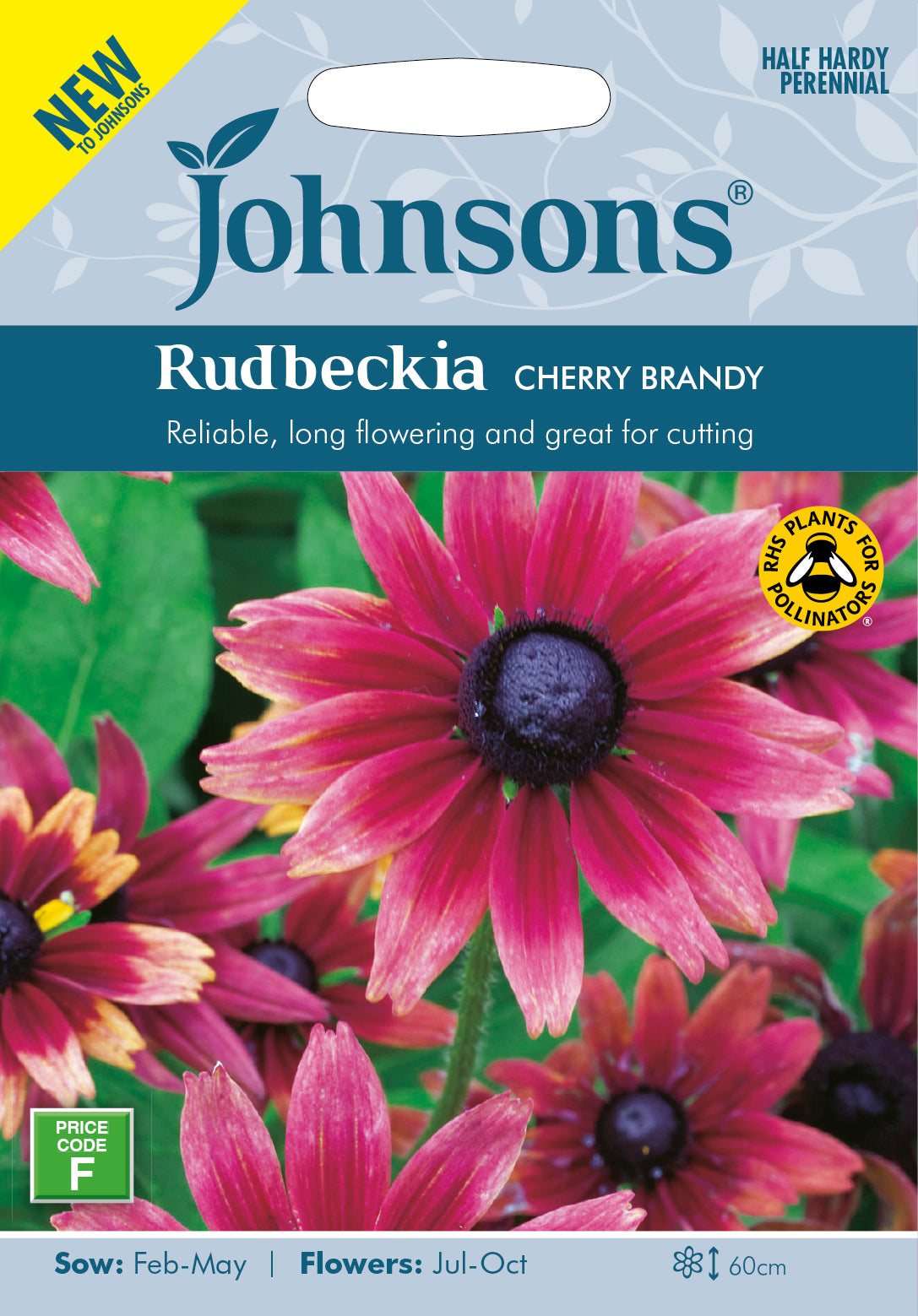 RUDBECKIA Cherry Brandy
