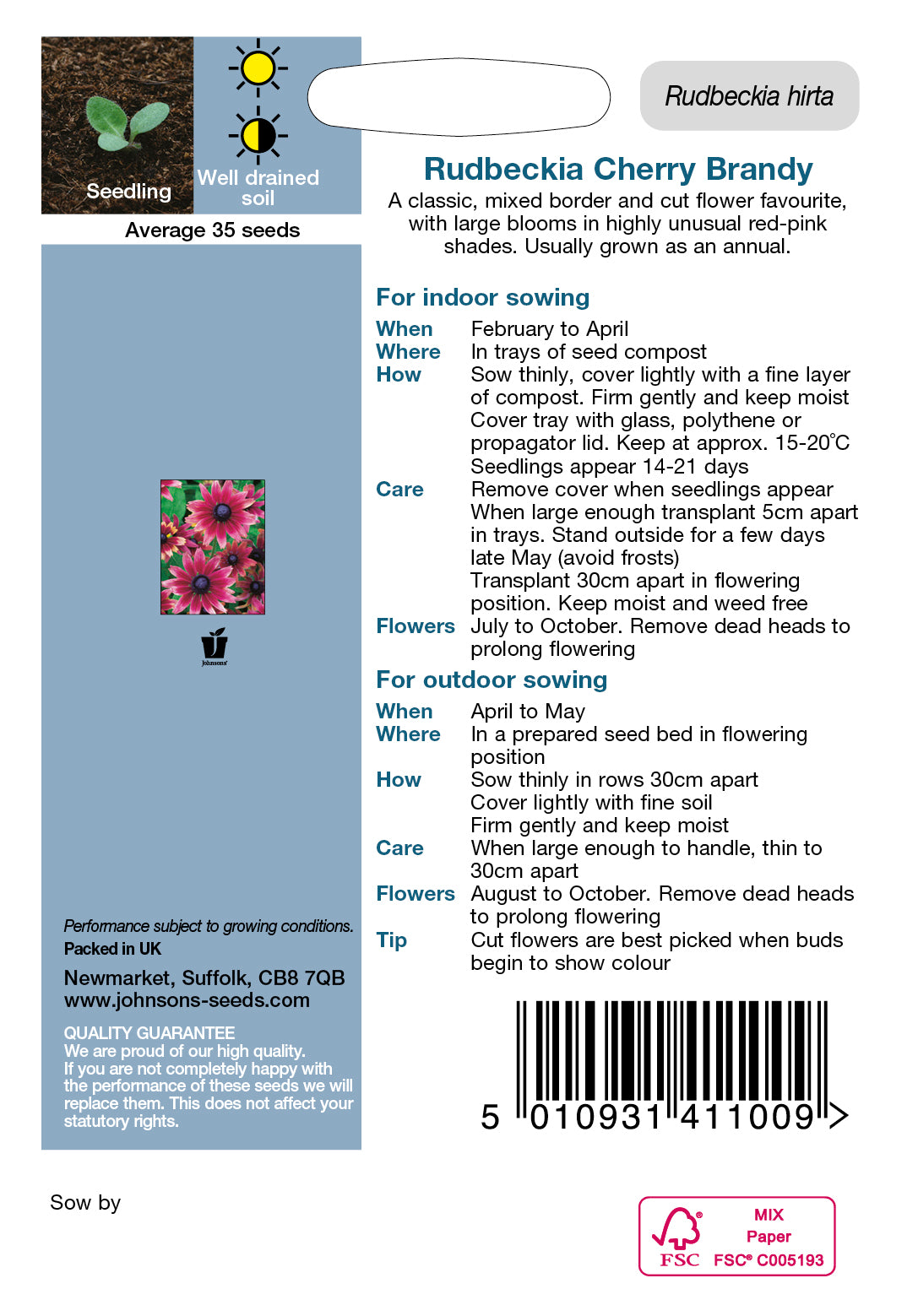 RUDBECKIA Cherry Brandy