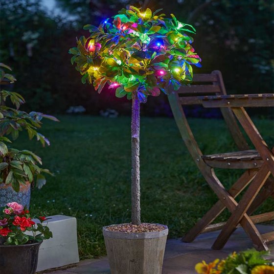 100 Multi Colouredleds String Lights