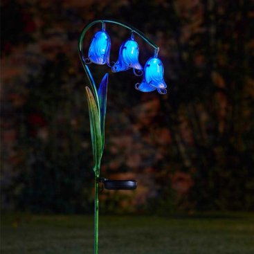 Solar Bluebells