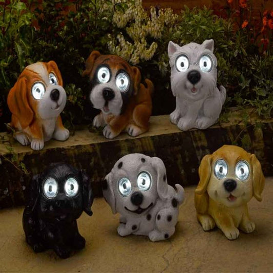 Solar Bright Eye Dogs