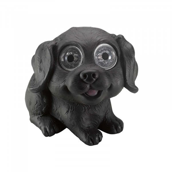 Solar Bright Eye Dogs