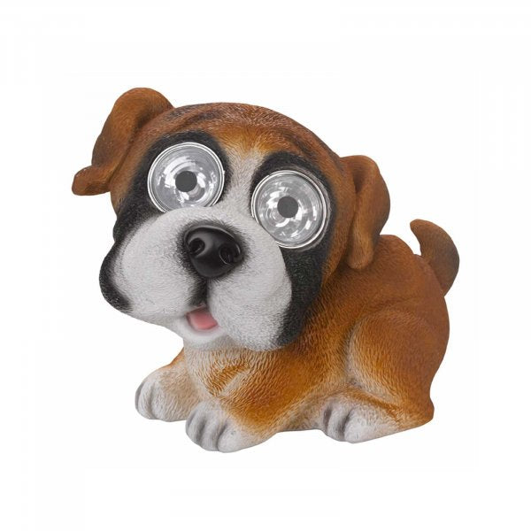 Solar Bright Eye Dogs