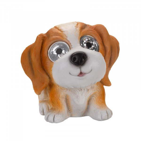 Solar Bright Eye Dogs